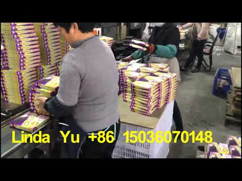 Compact machine for packing, boxing, and cartoning mosquito coils. Optimized for maximum efficiency and streamlined operation.