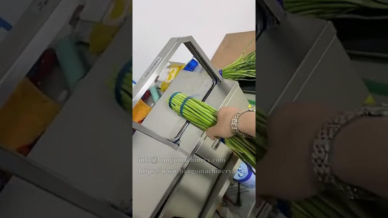 Innovative Supermarket Vegetable Strapping Machine: Streamlined, Efficient Solution for Enhanced Produce Management Innovative Supermarket Vegetable Strapping Machine: Streamlined, Efficient Solution for Enhanced Produce Management