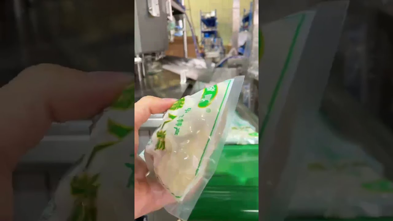 Automatic Bag Filling and Packaging Machine (2022)