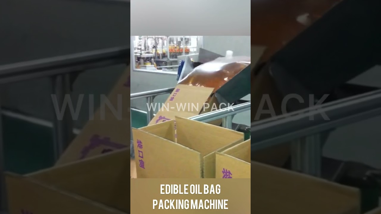 Automatic Bag-in-Box Edible Oil Packaging System with Carton Erector and Case Sealer