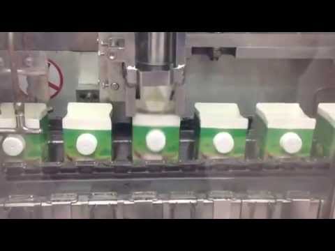 Automatic Gable Top Carton Filling Machine: Industrial Box Packing Solution