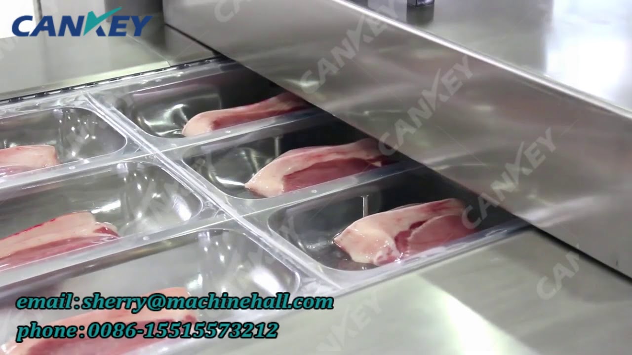 Automatic Vacuum Packing Machine for Food Automatic Vacuum Packing Machine for Food