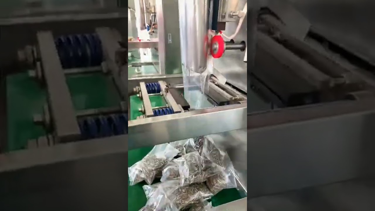 Automatic Vertical Bagging Machine for Melon Seed Packaging Automatic Vertical Bagging Machine for Melon Seed Packaging