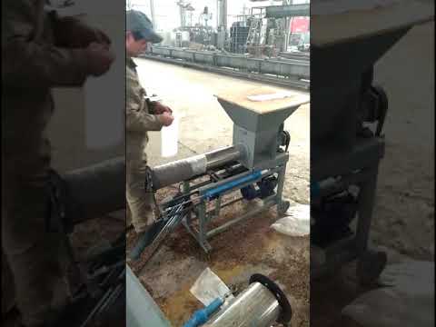 Bag Filling Machine for the Mushroom Industry Bag Filling Machine for the Mushroom Industry