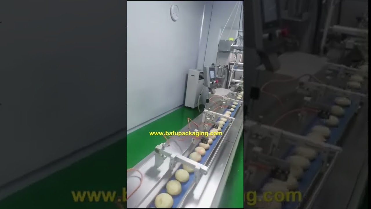 Bagging Machine for Packaging Bagging Machine for Packaging