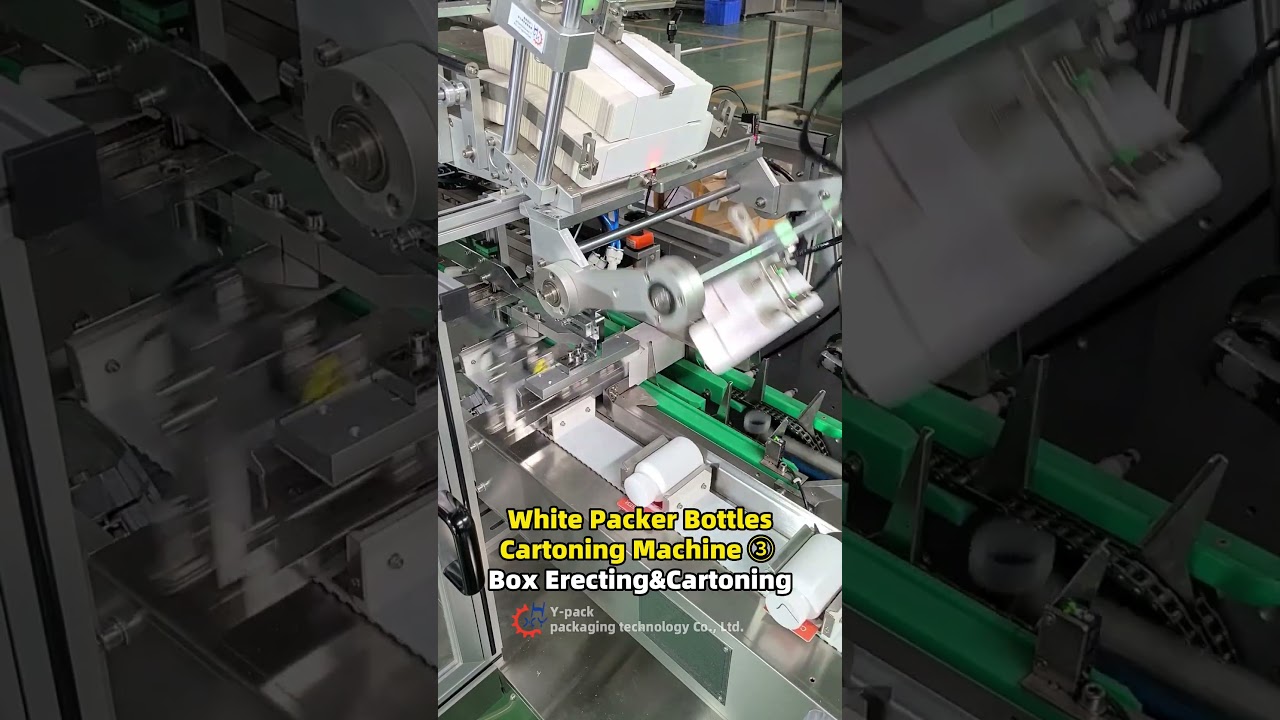 Box Erecting and Cartoning Machine for White Packer Bottles