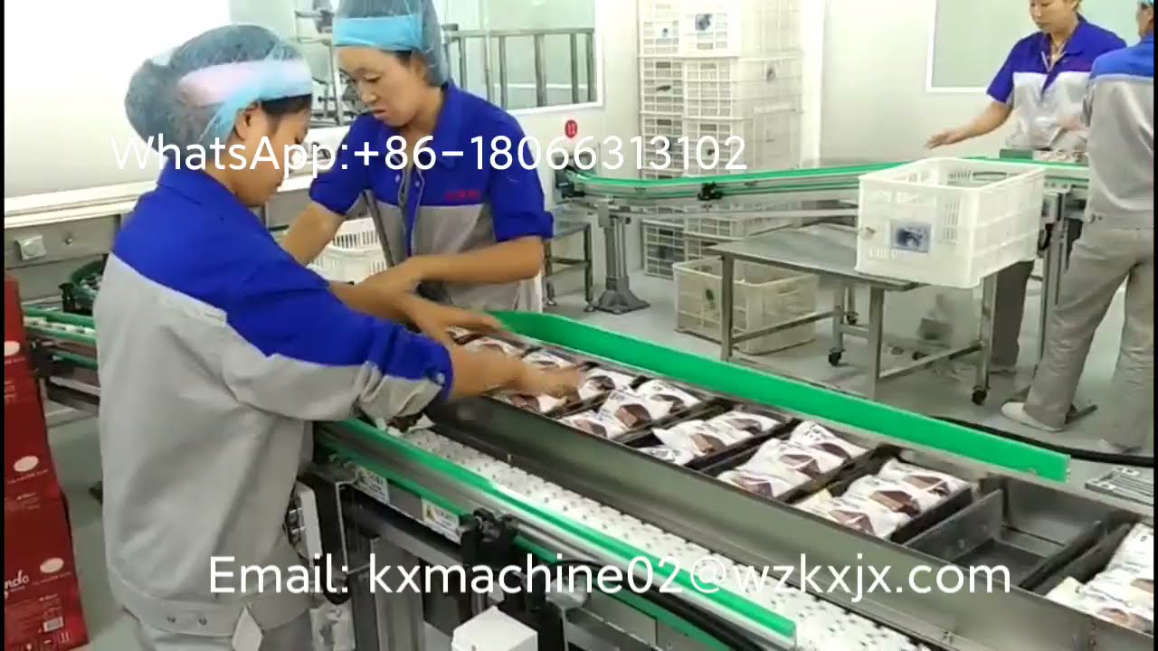 Box Filling and Packing Machine for Biscuits, Cookies, and Cakes