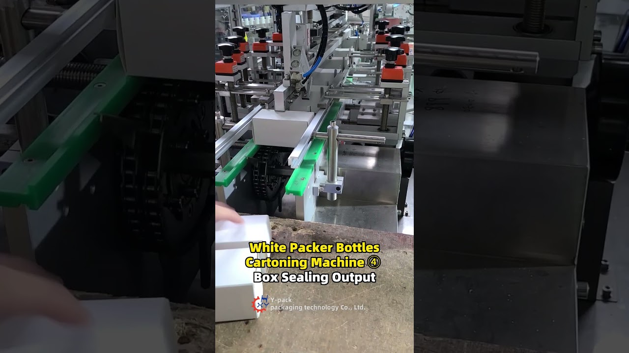 Box Sealing Output of a White Packer Bottles Box Packing Machine