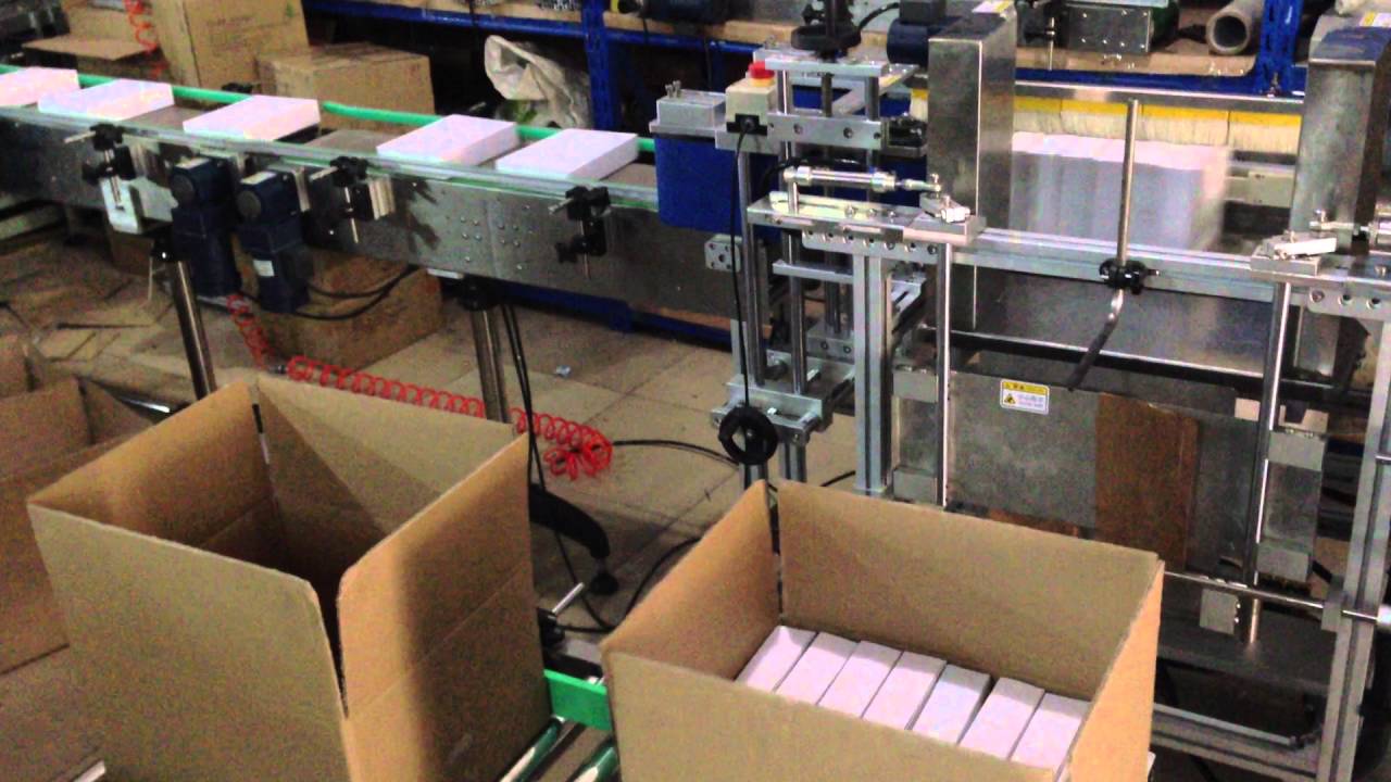 Carton Box Packaging Machine for Efficiently Filling 8 Packs of Small Paper Boxes