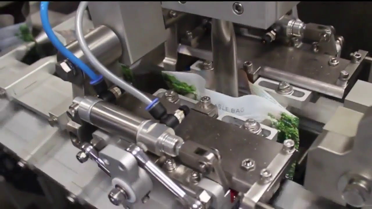 Efficient Vacuum Sealing for Nuts and Food with the Swifty Bagger