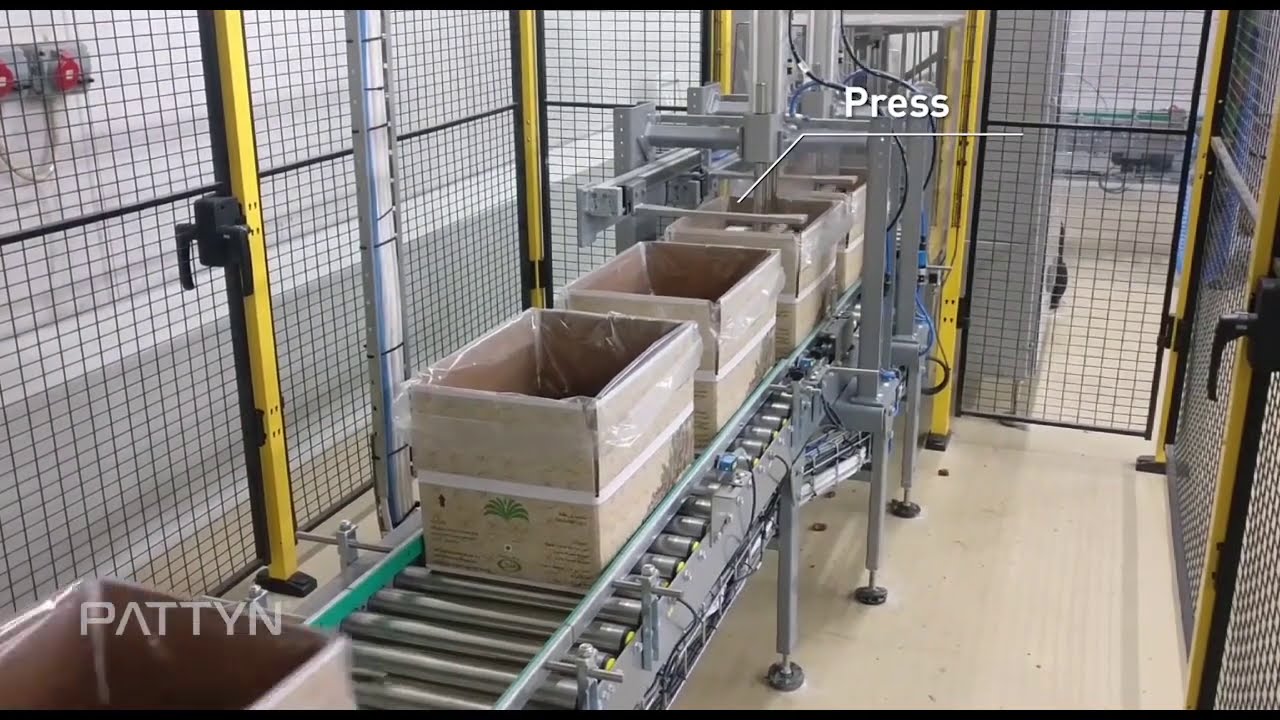 Efficient and Automatic Bulk Box Filling Line for Dried Fruits