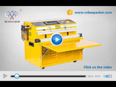 External Vacuum Sealer: DZQ-500TE External Vacuum Sealer: DZQ-500TE