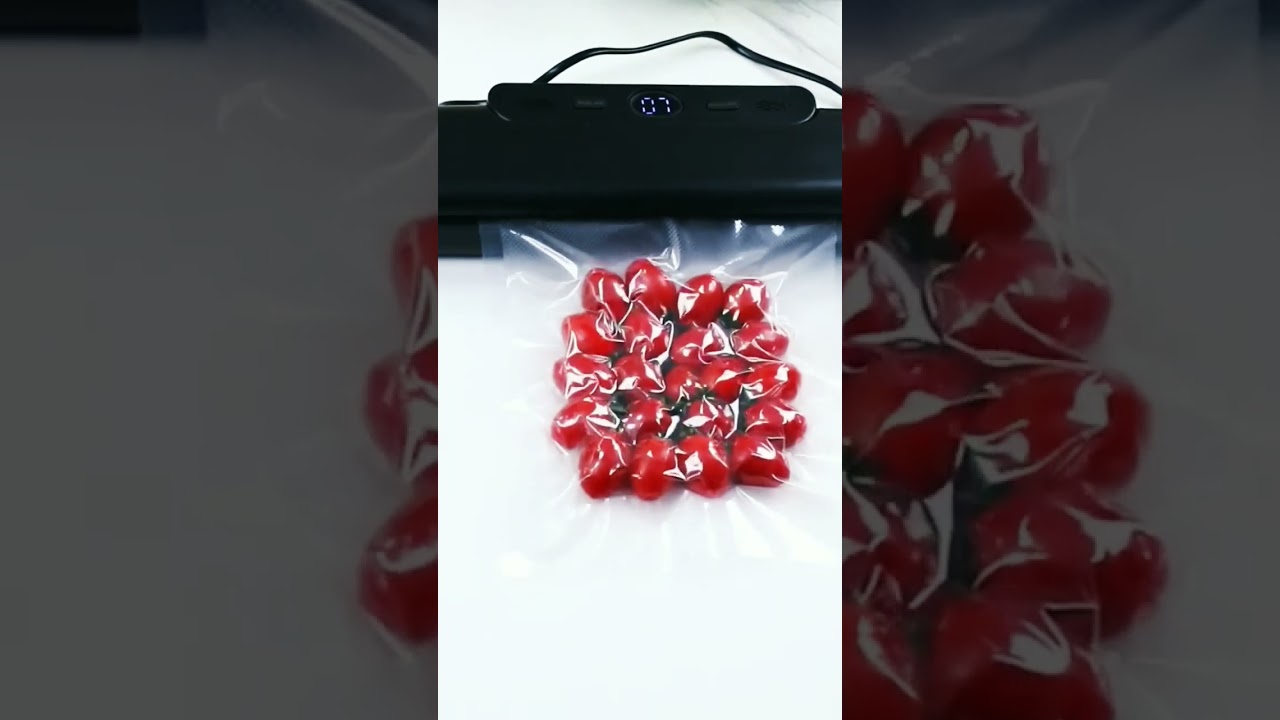 Food Vacuum Sealer with 10 Free Bags for Packaging Food Vacuum Sealer with 10 Free Bags for Packaging