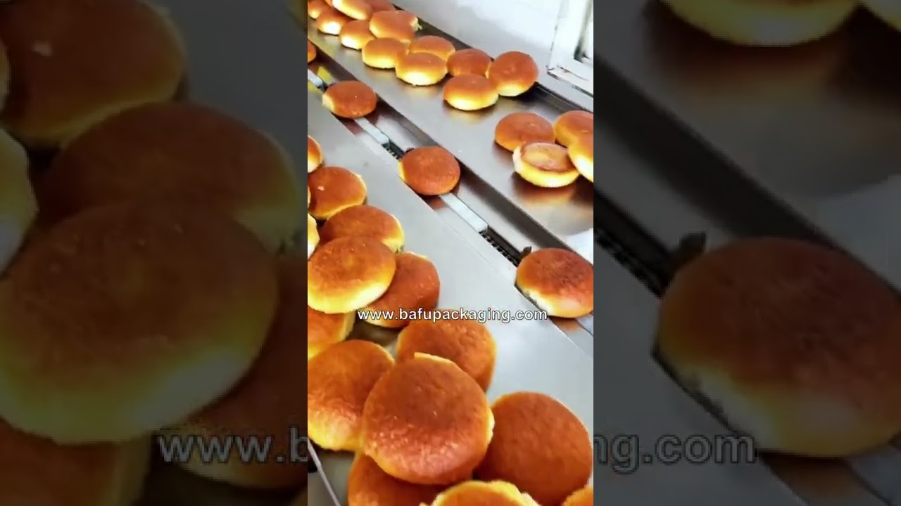 Packaging Machines for Bread, Cakes, Biscuits & Horizontal Flow Wrapper