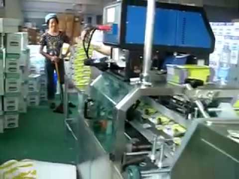Plastic Bag Packaging Machine for Box Packing