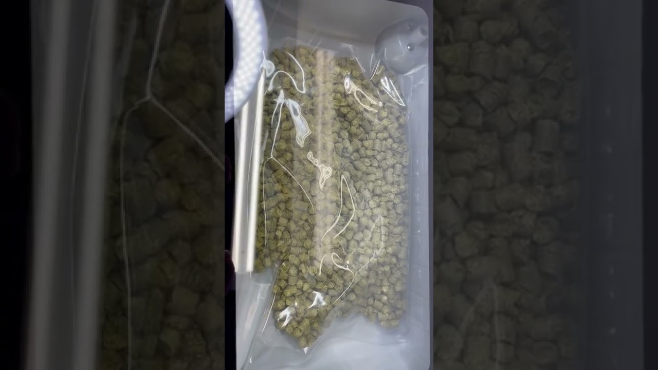 Reviewing the Performance of a Chamber Vacuum Sealer: Hops Test
