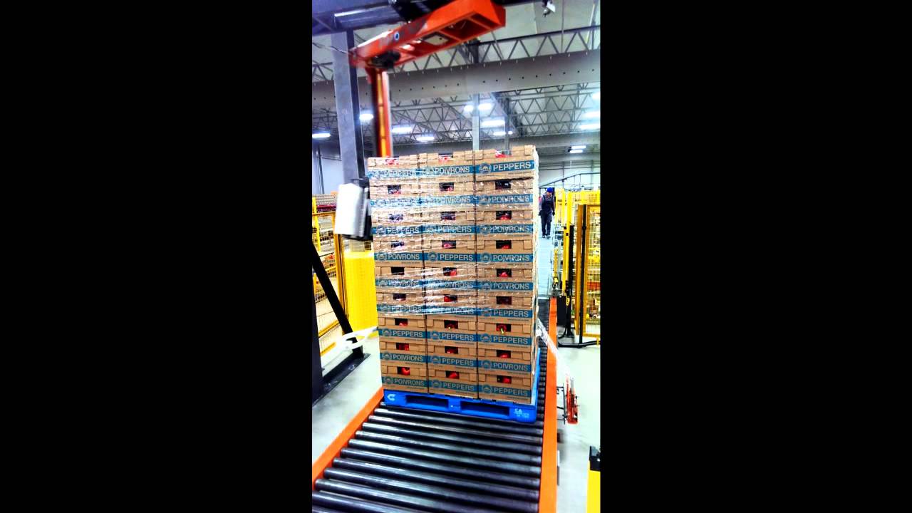 Rotary Arm Wrapper: Efficient Fresh Produce Film Wrapping