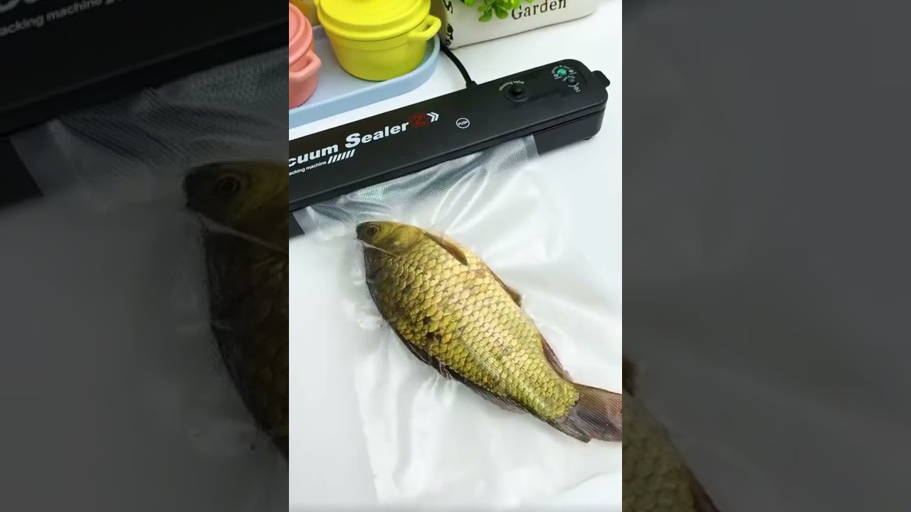 Sealing Machine for Bag Sealing Machine for Bag