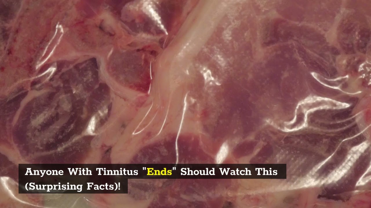 Top 3 Commercial Vacuum Sealer Reviews