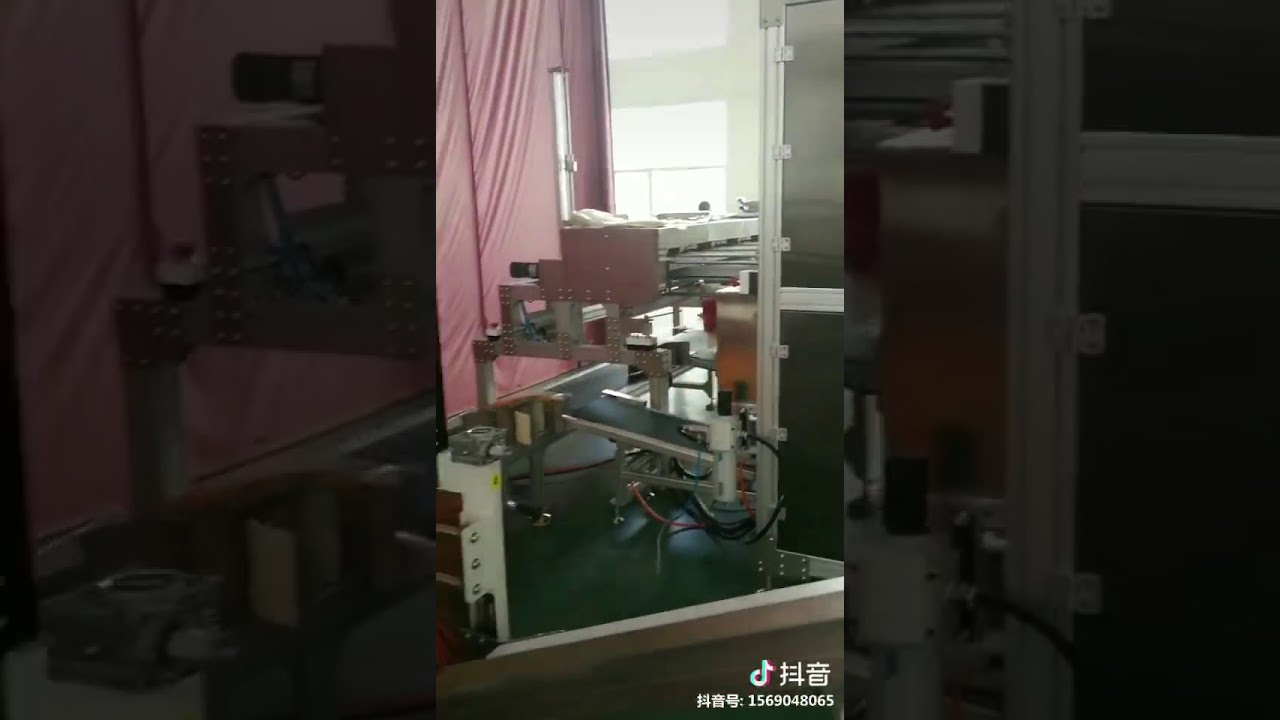 Transforming Bagging to Box Sealing: Complete Automated Vacuum Packing Line Transforming Bagging to Box Sealing: Complete Automated Vacuum Packing Line