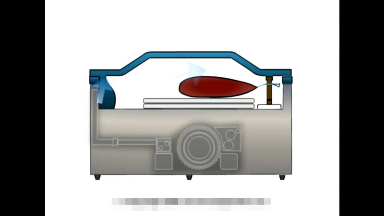Understanding the Function of a Vacuum Packing Machine
