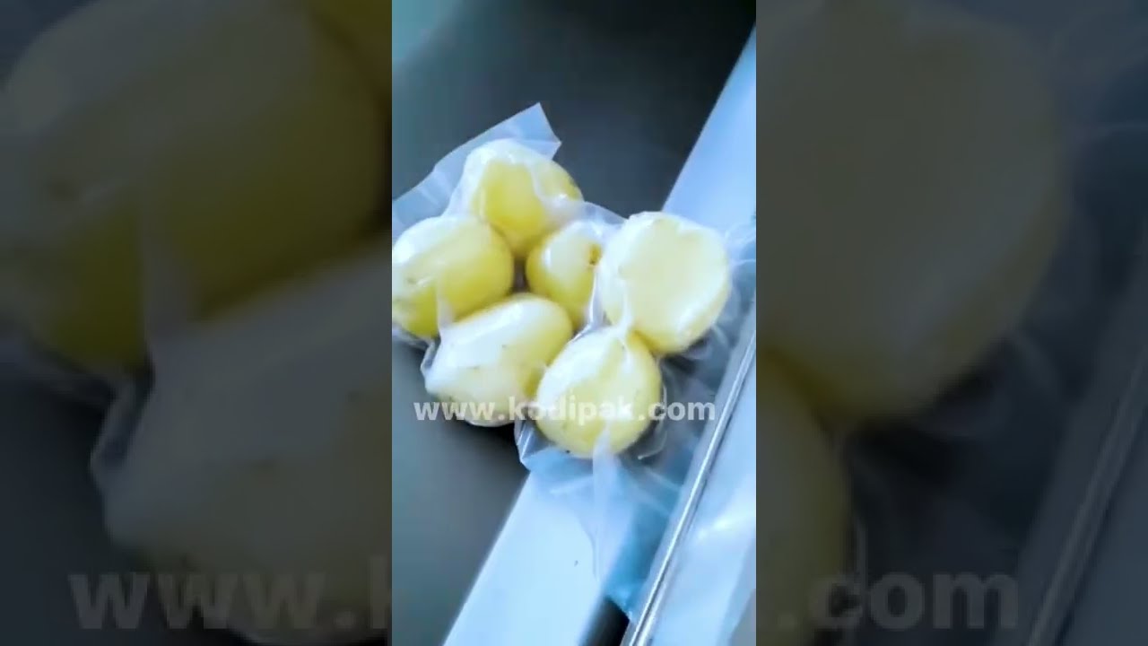 Vacuum Packing Equipment with Dual Chambers