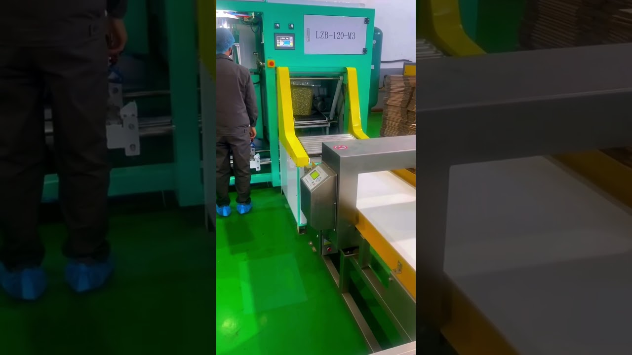 Vacuum Packing Solution for 10-25KG Pumpkin Seeds