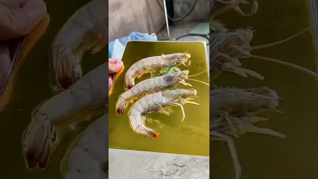 Vacuum Sealer for Shrimp Meat Skin Packaging SLITTING COIL PACKAGING LINE