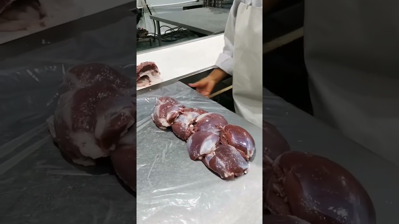 Vacuum Sealing Meat for Freshness