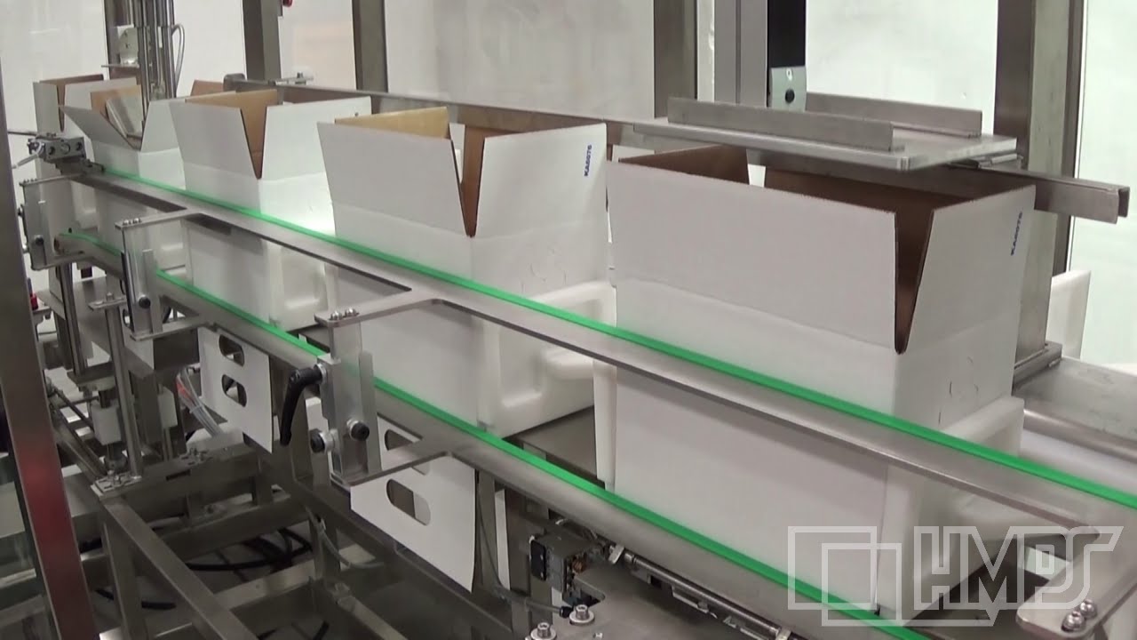 Water Filling and Packing Machine for 10L Bag in Box Casks Water Filling and Packing Machine for 10L Bag in Box Casks