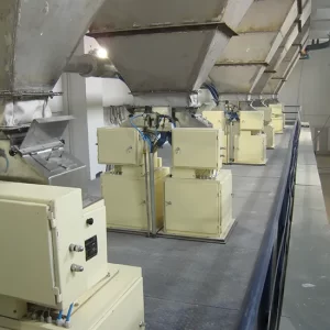 Bulk Weighing Machine